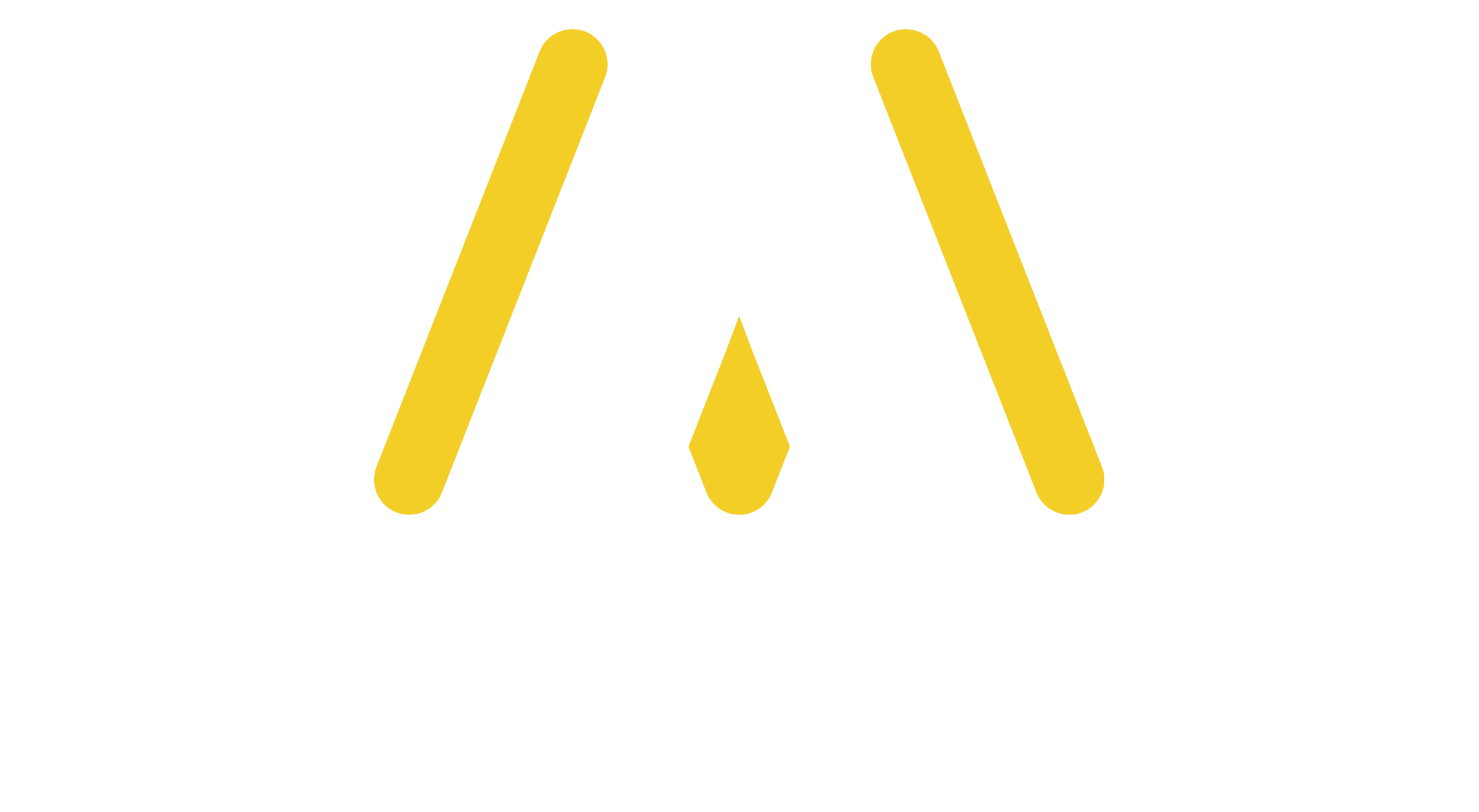 AeroMonitor Logo